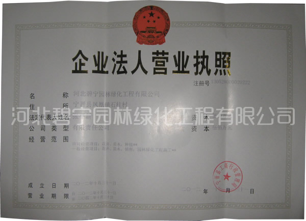 資質(zhì)證書(shū)